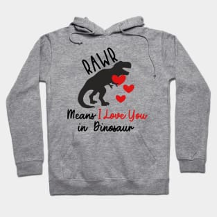 funny valentines day quotes Hoodie